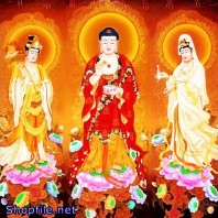 Hình Phật Tây Phương Tam Thánh Chất Lượng Cao